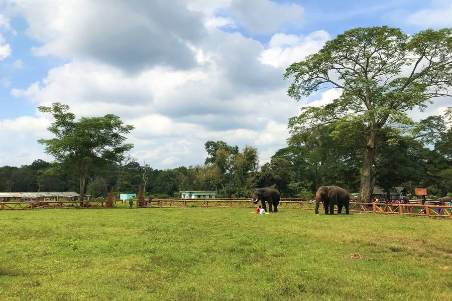 Dubare Elephant Camps In Coorg