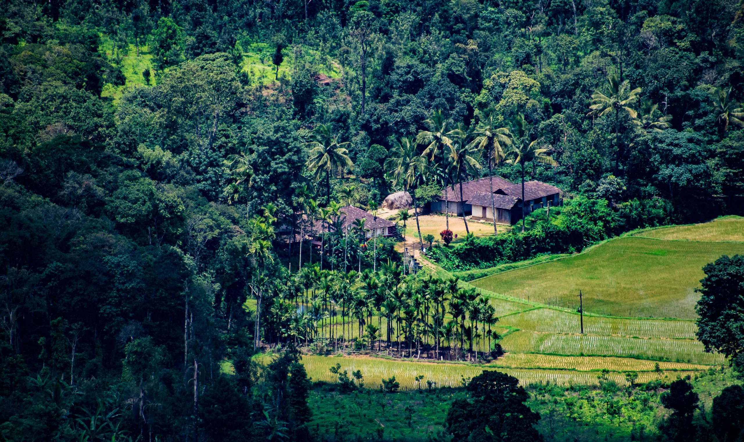 coorg-scotland-of-india