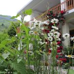 Best Homestays in Himachal