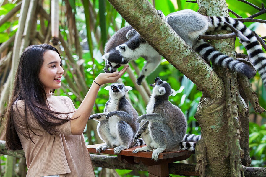 Nature Calling at Bali Zoo