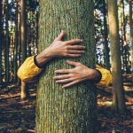 Iceland to beat isolation by tree-hugging.