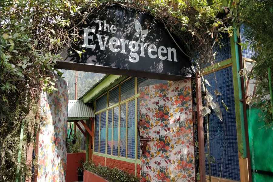 evergreen-cafe-in-kasol