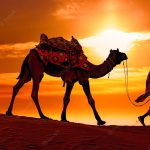 a-Mini-guide-for-new-year-in-jaisalmer