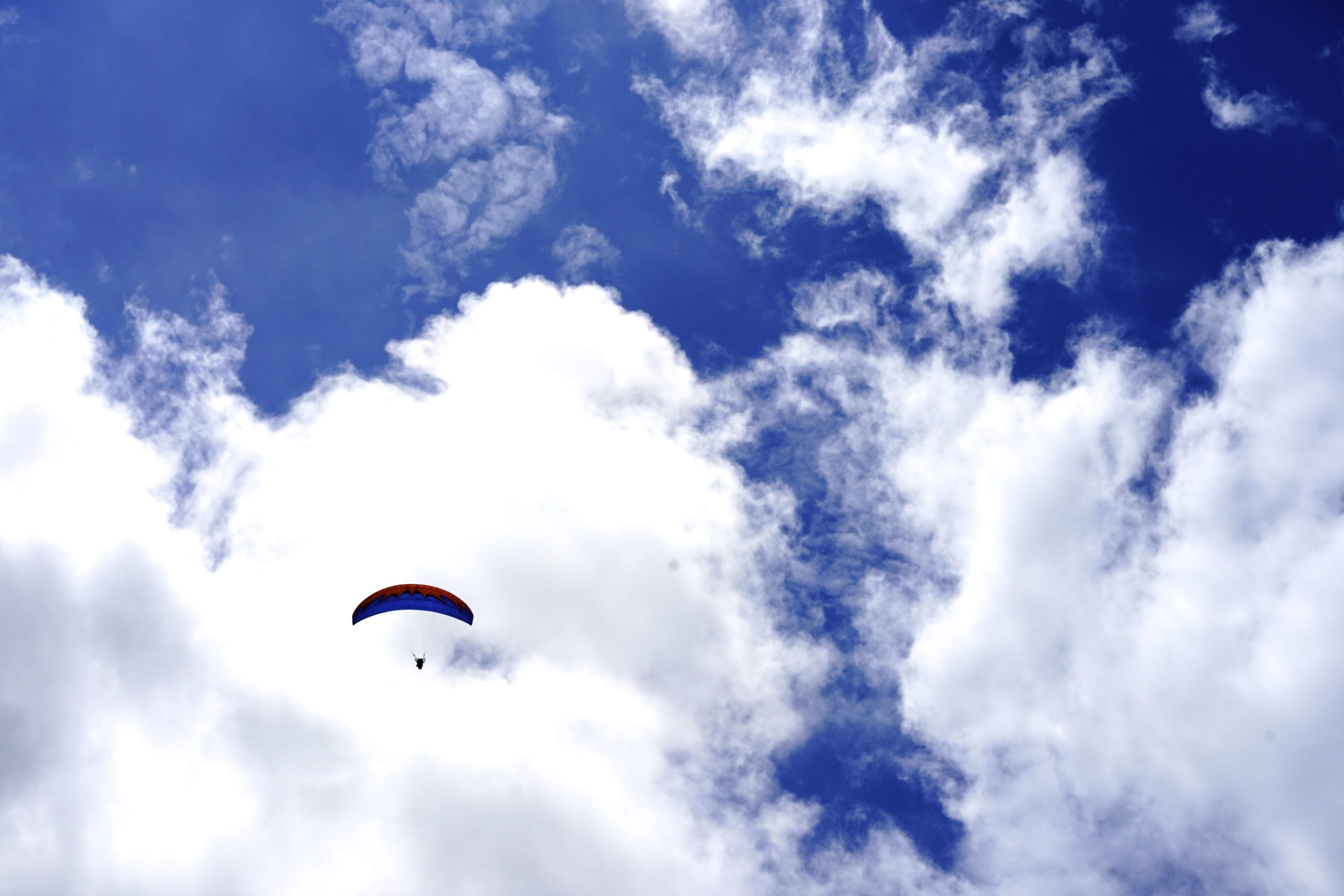 paragliding-in-ladakh