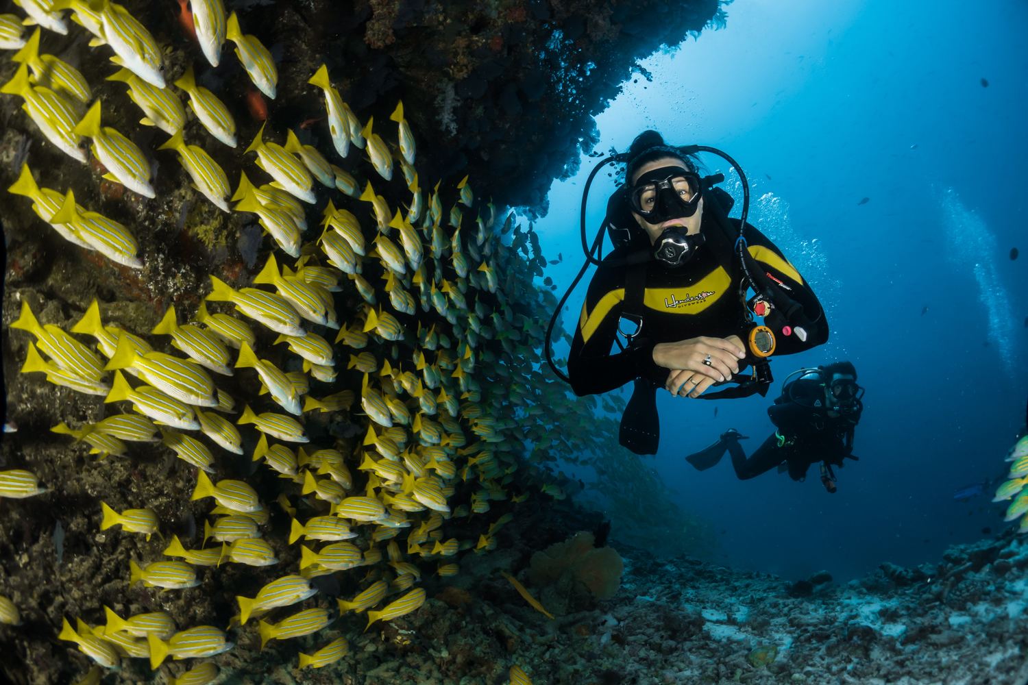 diving-adventure-activities-in-vietnam
