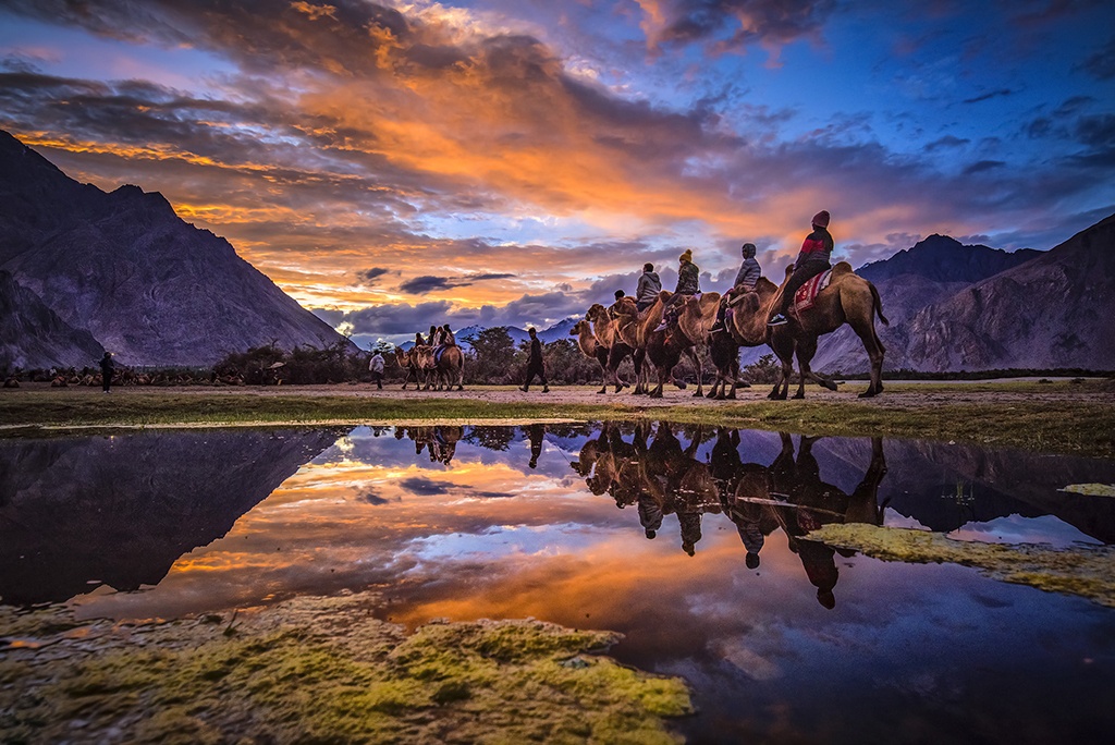 Nubra Valley Ladakh Poster by Puneet Vikram Singh, Nature And Concept  Photographer, 