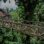 12 Best Offbeat Things To Do In Ubud