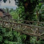things-to-do-in-ubud