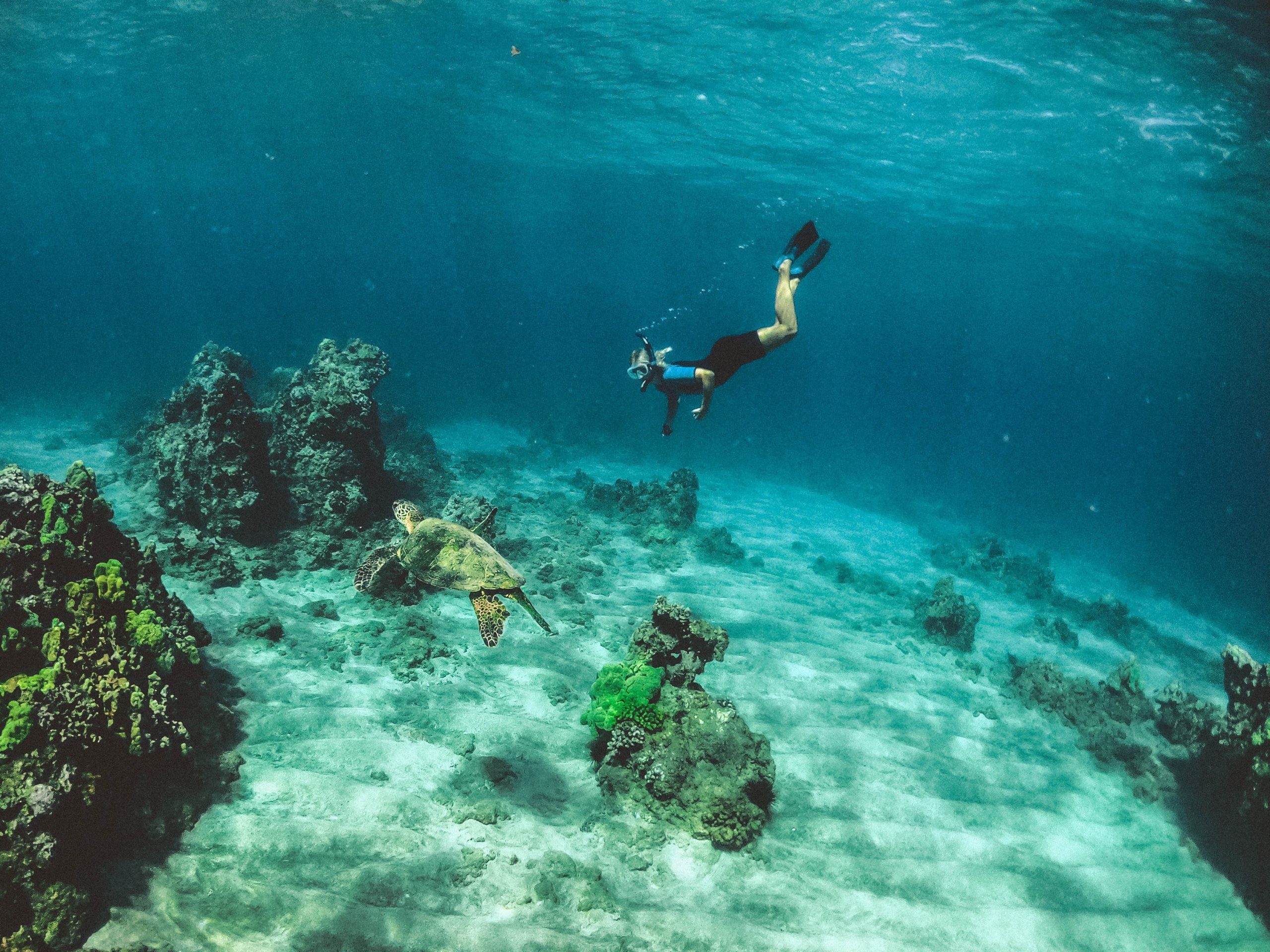 scuba-diving-water-sports-in-dubai