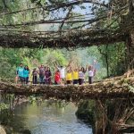 living-root-bridges-in-meghalaya