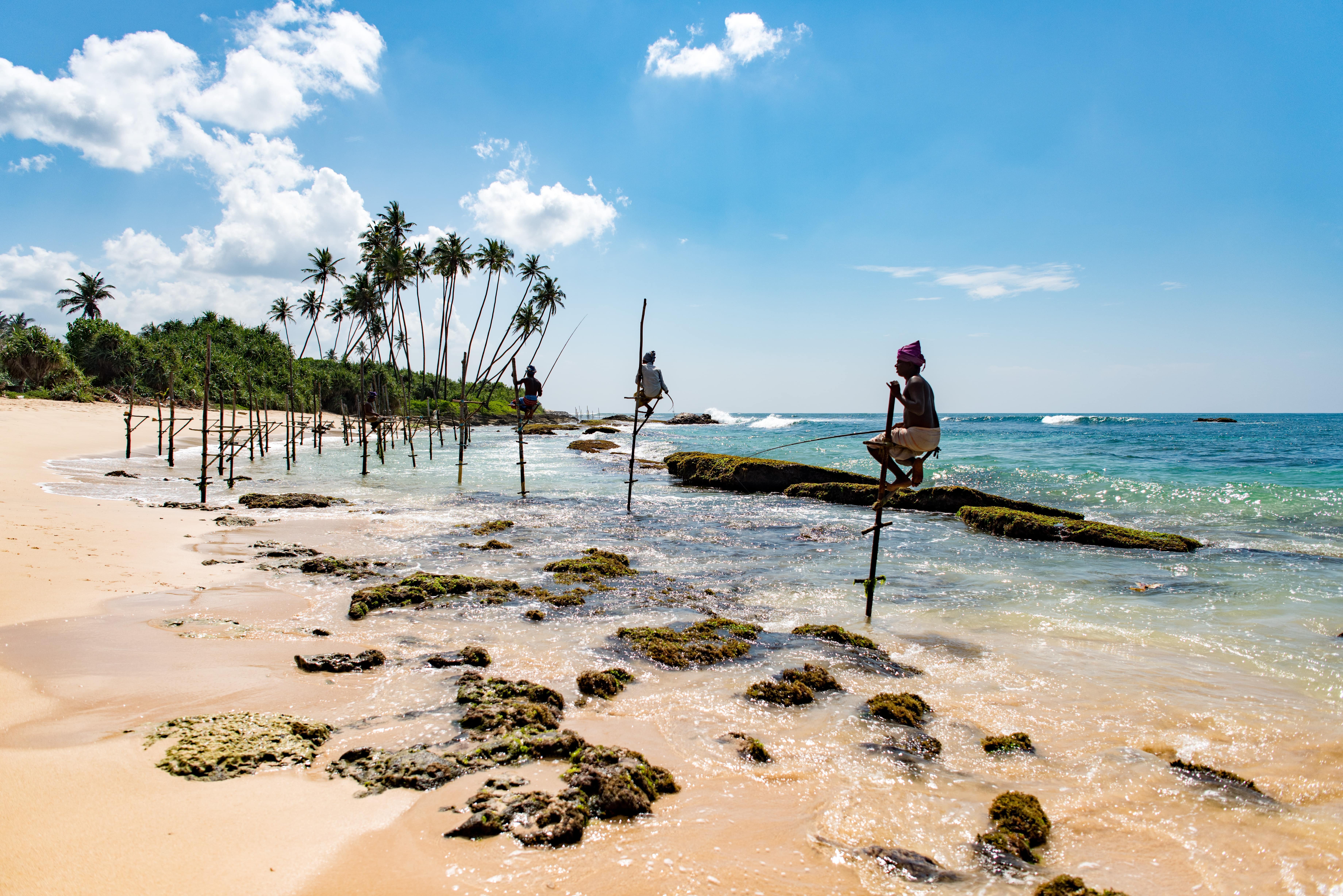 Sun, sand and stunning sights: Your guide to Sri Lanka's best