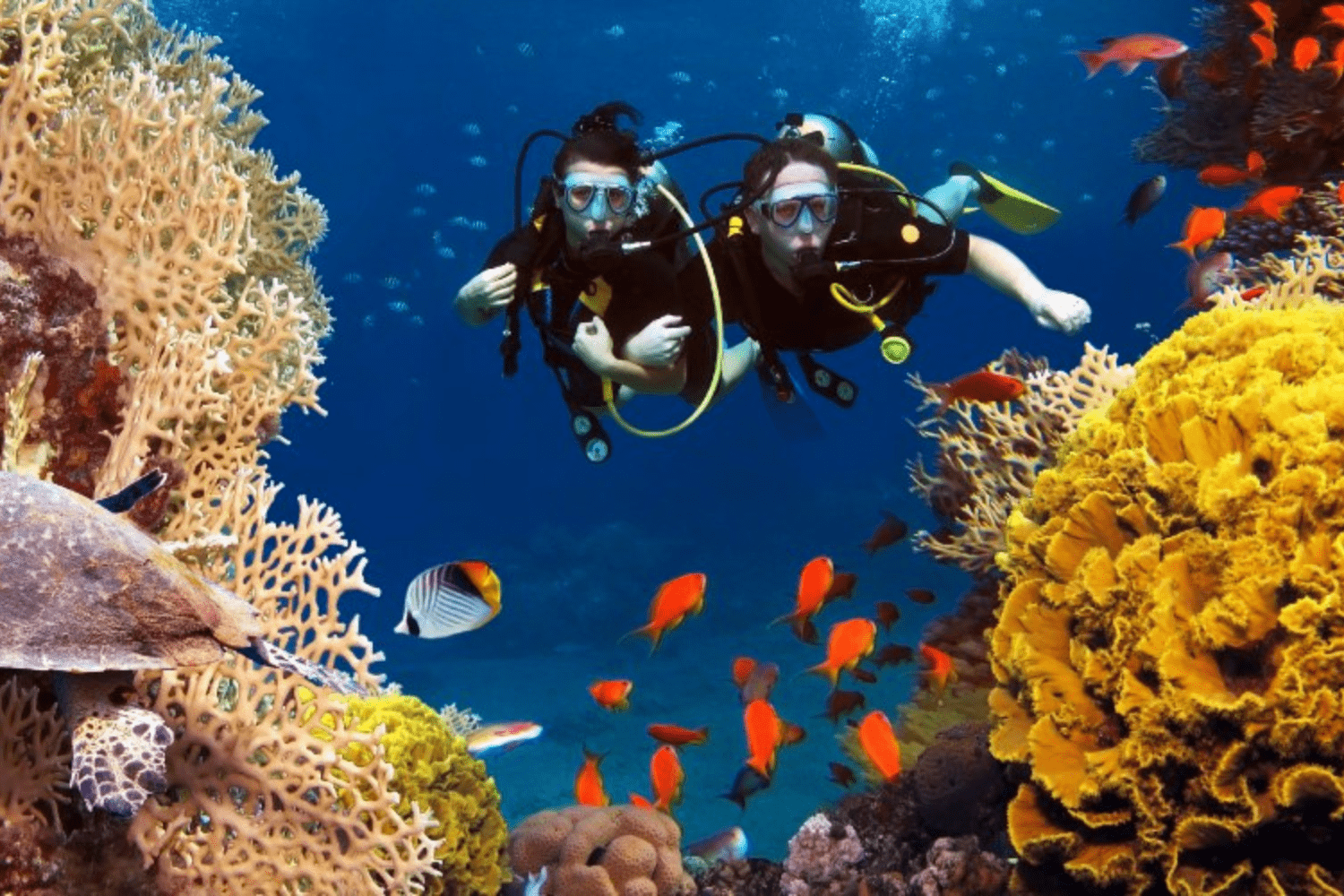 scuba-diving-in-alappuzha