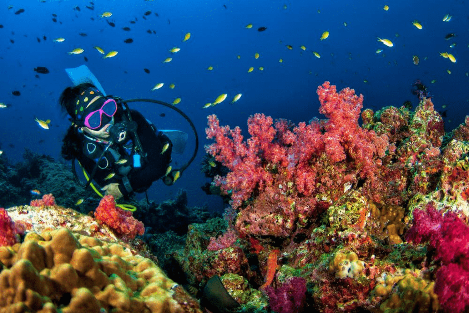 scuba-diving-in-kumbazha