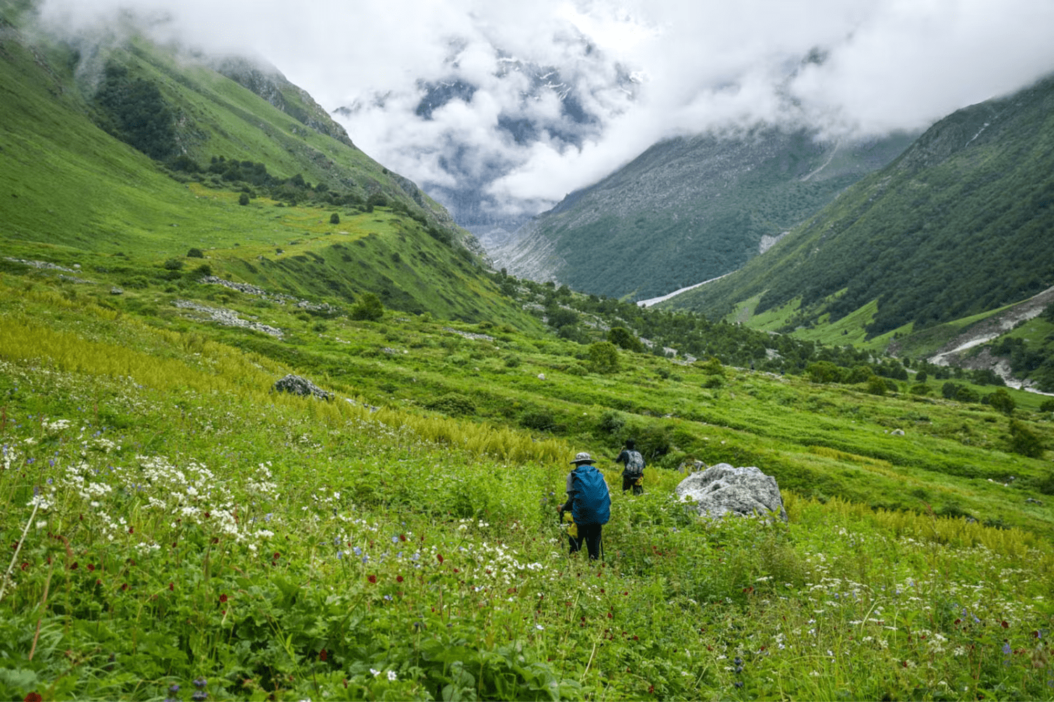 trek-to-the-valley-of-flowers-in-kashmir
