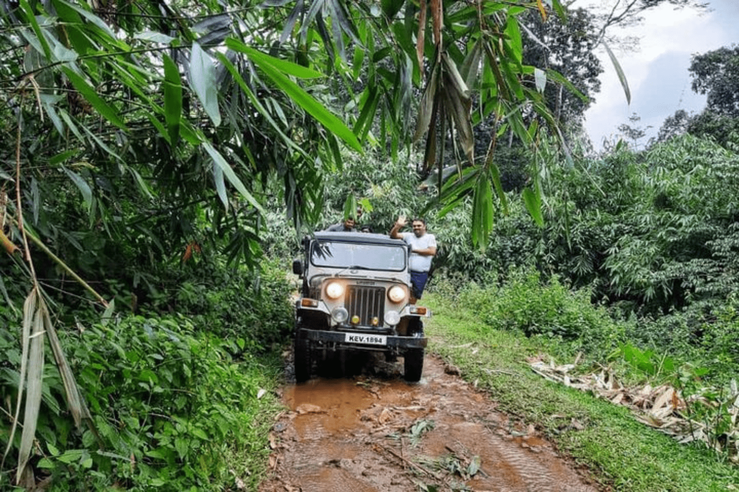 jungle-safari-in-kerala-in-november