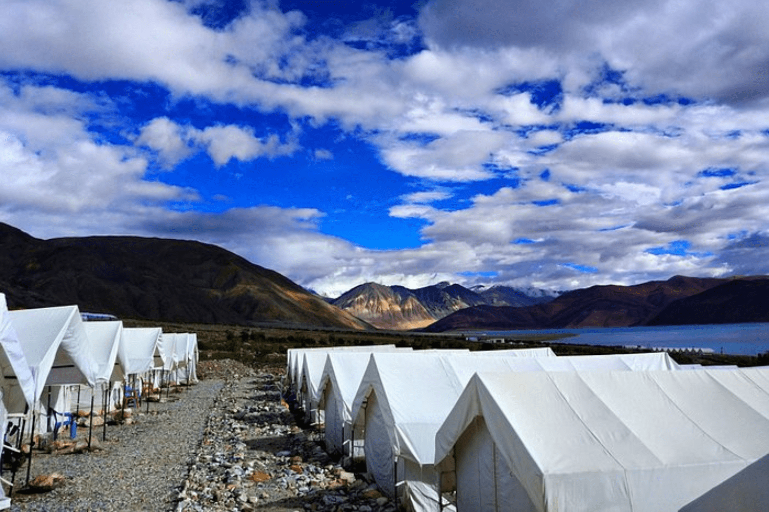 camping-in-ladakh