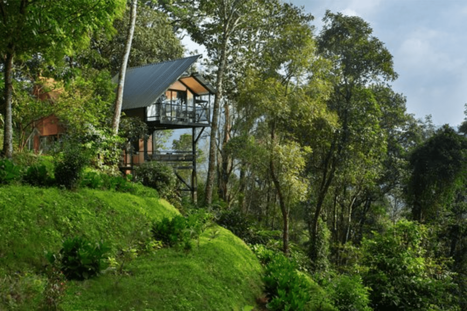 stay-in-tree-house-in-kerala