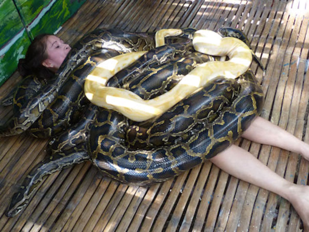 snake-massage