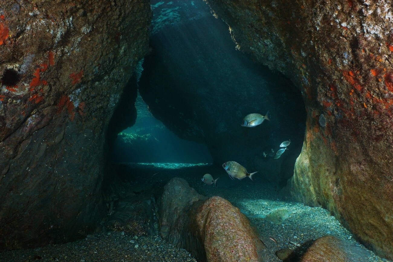 fish-rock-cave