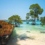 national-parks-in-andaman