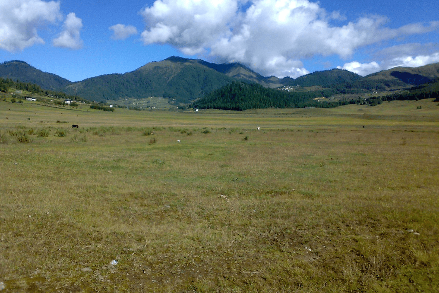 phobjikha-valley-trek