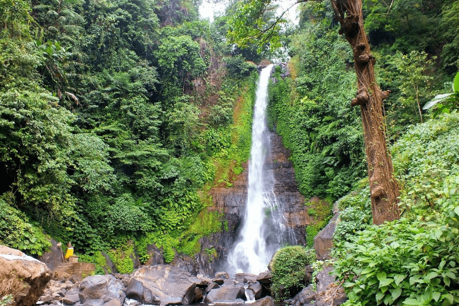 gitgit-waterfall-in-bali