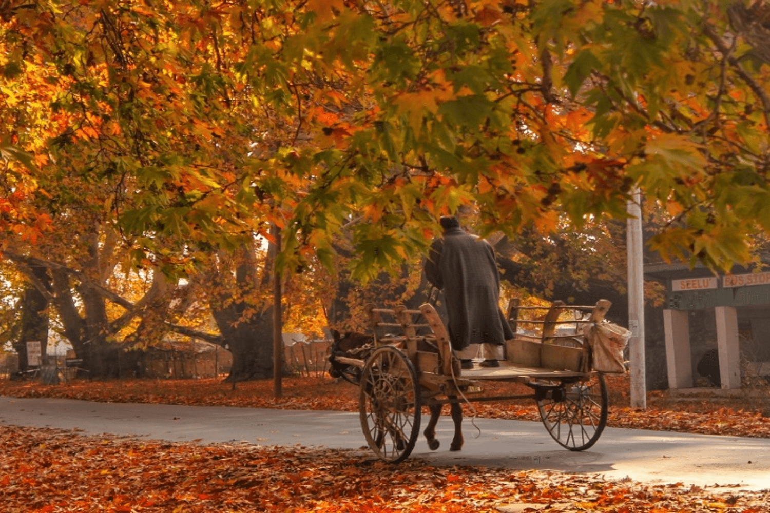 pahalgam-in-autumn
