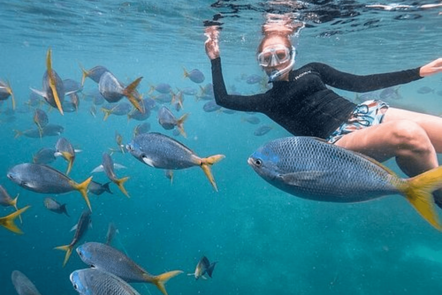 snorkelling-in-maldives