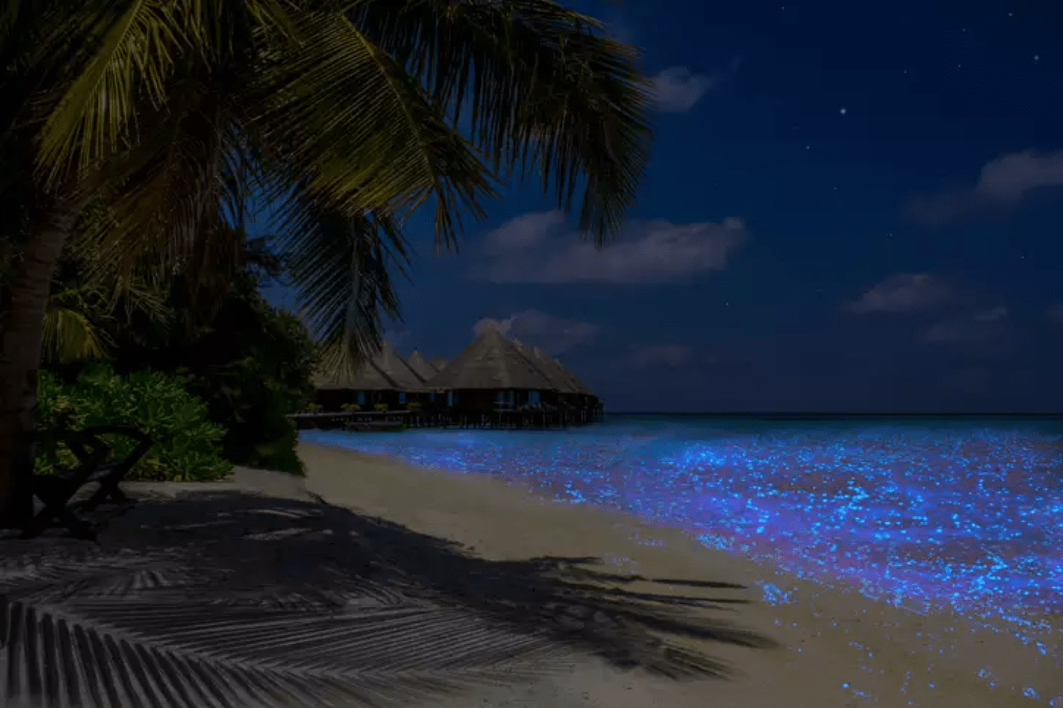 bioluminescent-beach-in-maldives