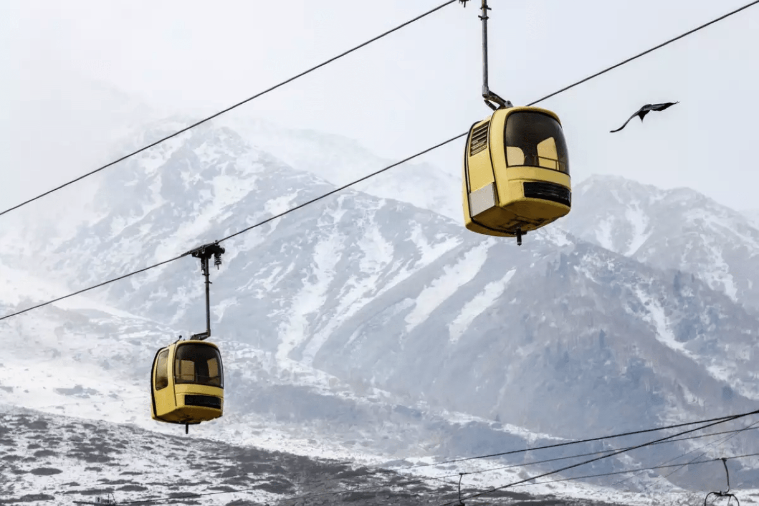 gondola-ride-in-gulmarg-in-winter