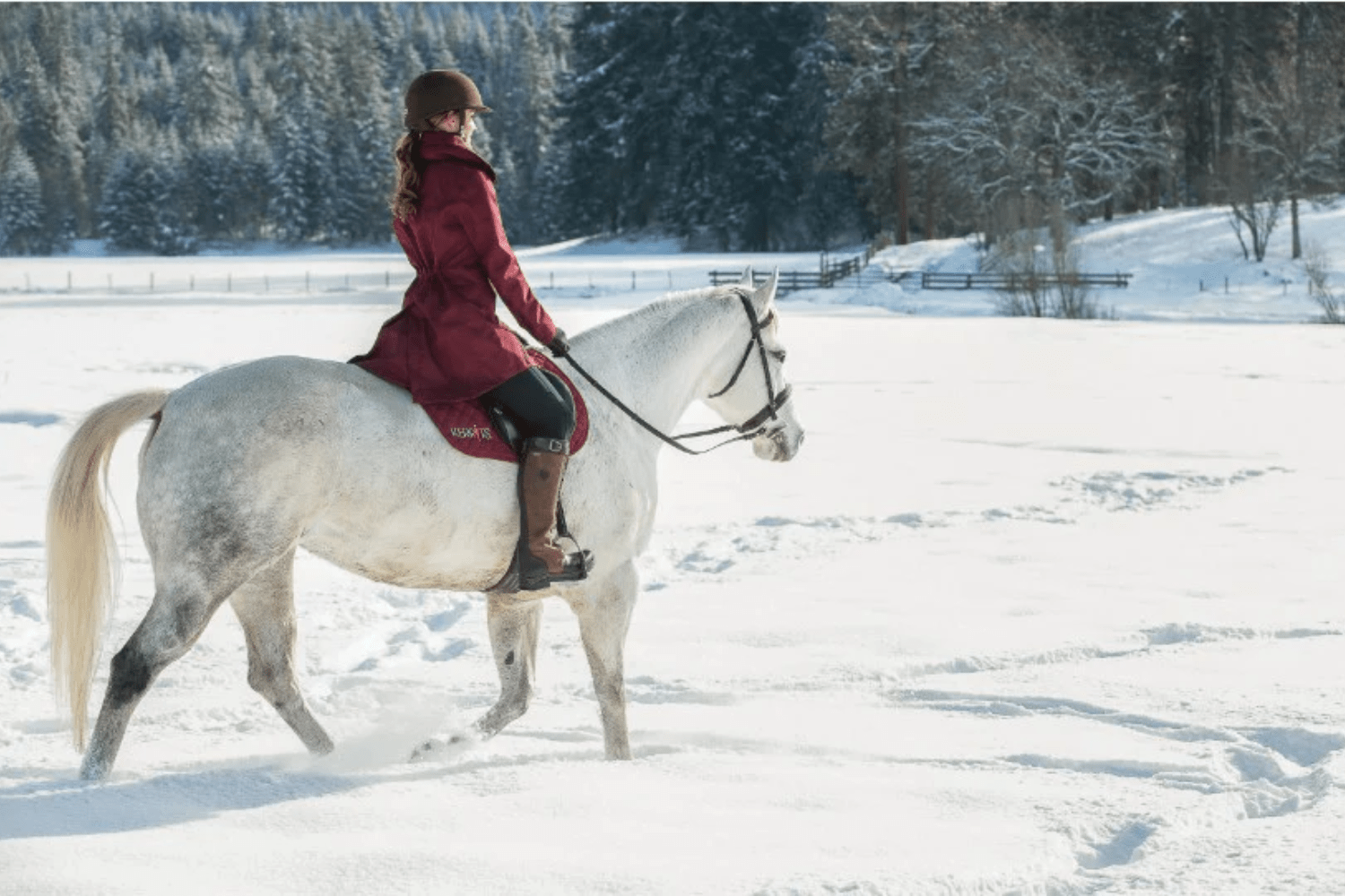 pony-ride-in-gulmarg-in-winter
