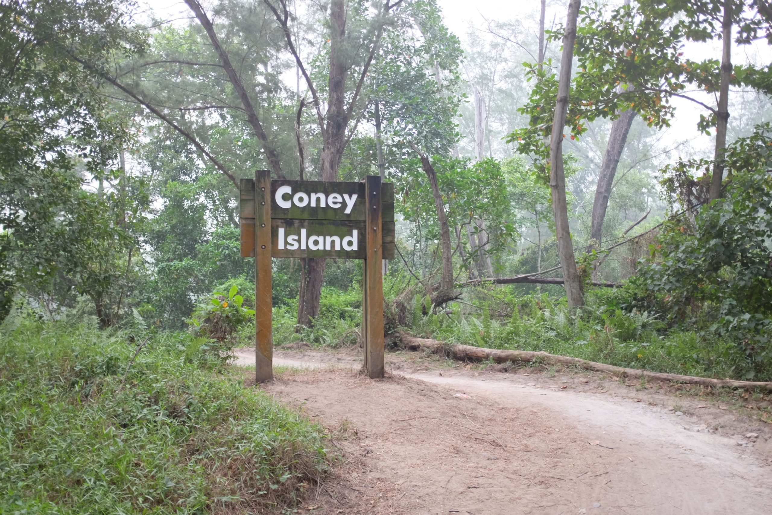 coney-island-park