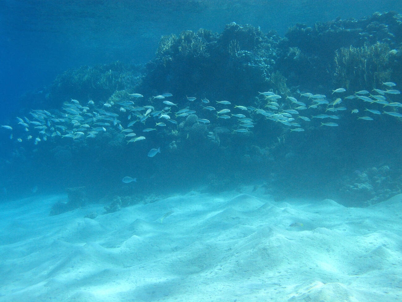 depths-of-the-ocean-in-andaman