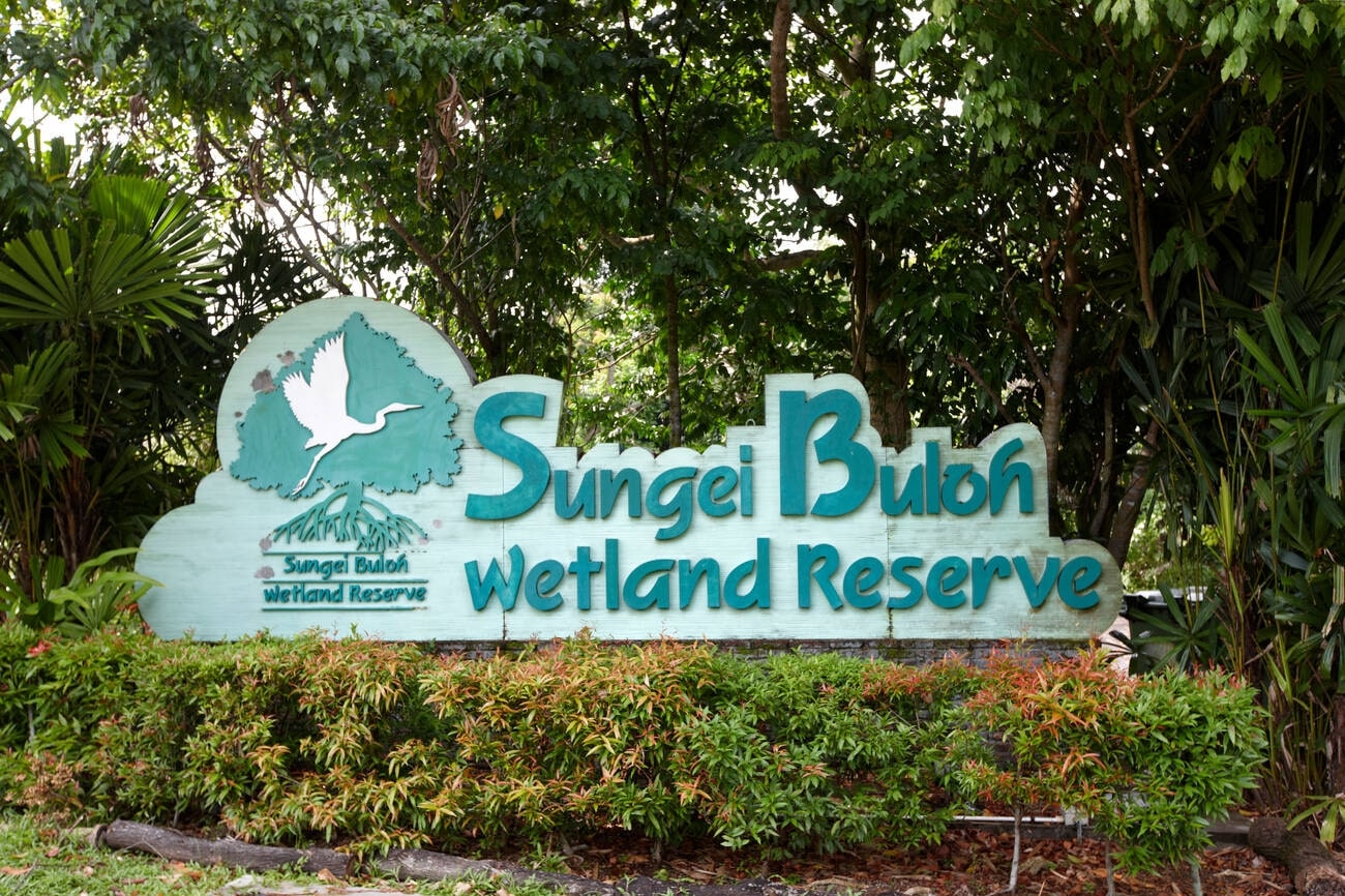 sungei-buloh-wetland-reserve