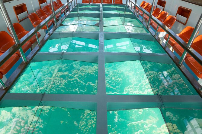 glass-bottomed-boat-rides