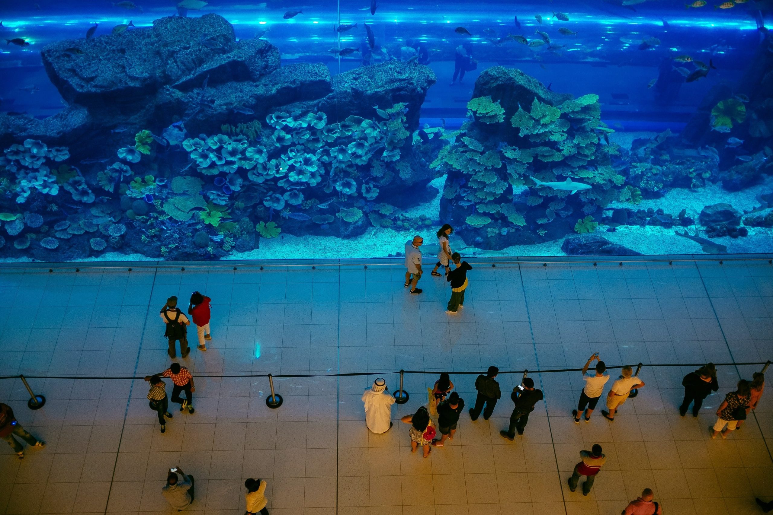 dubai-underwater-zoo