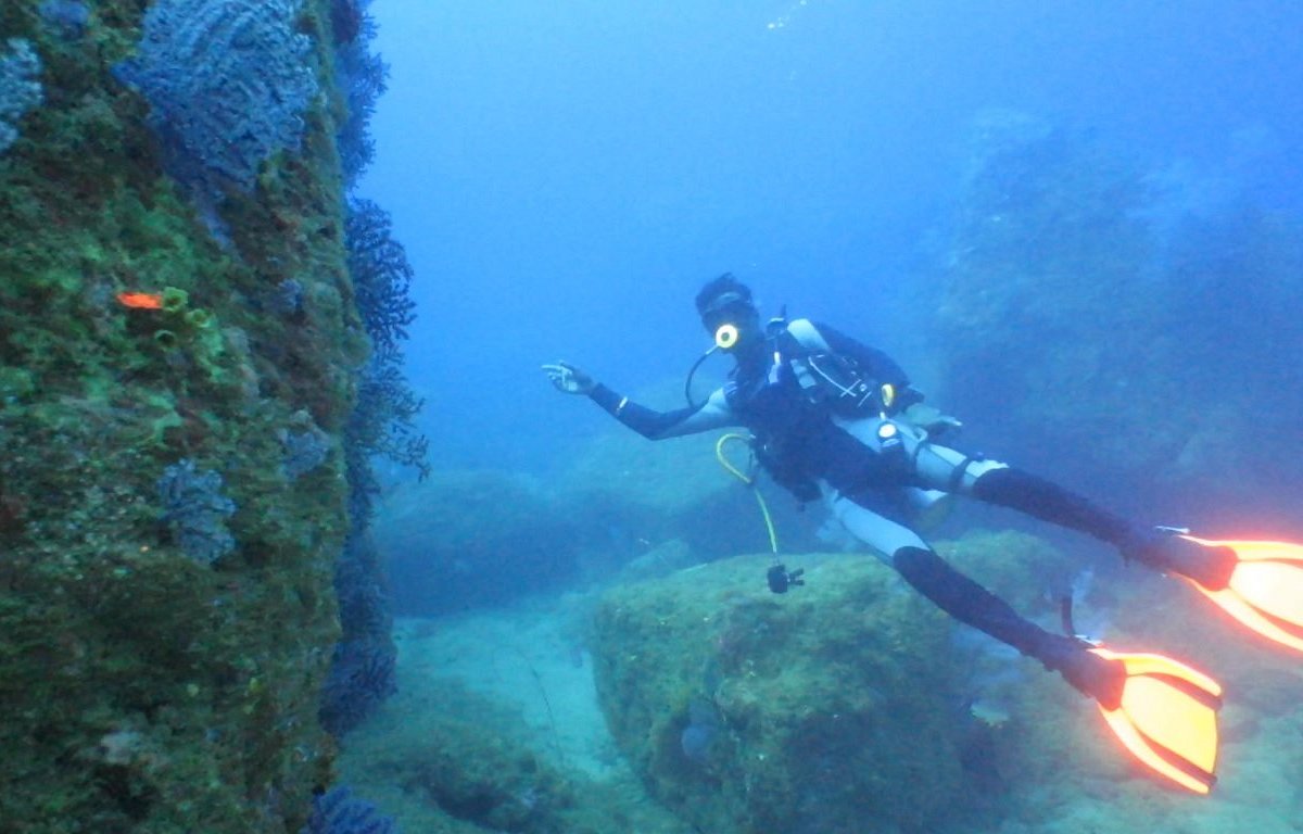 barracuda-reef-hikkaduwa