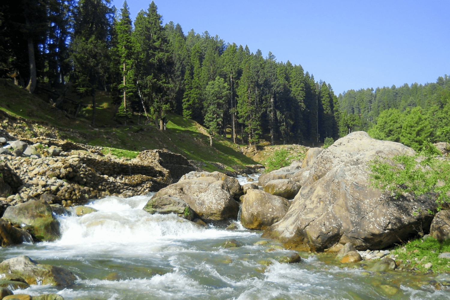 doodh-ganga-river-in-yusmarg