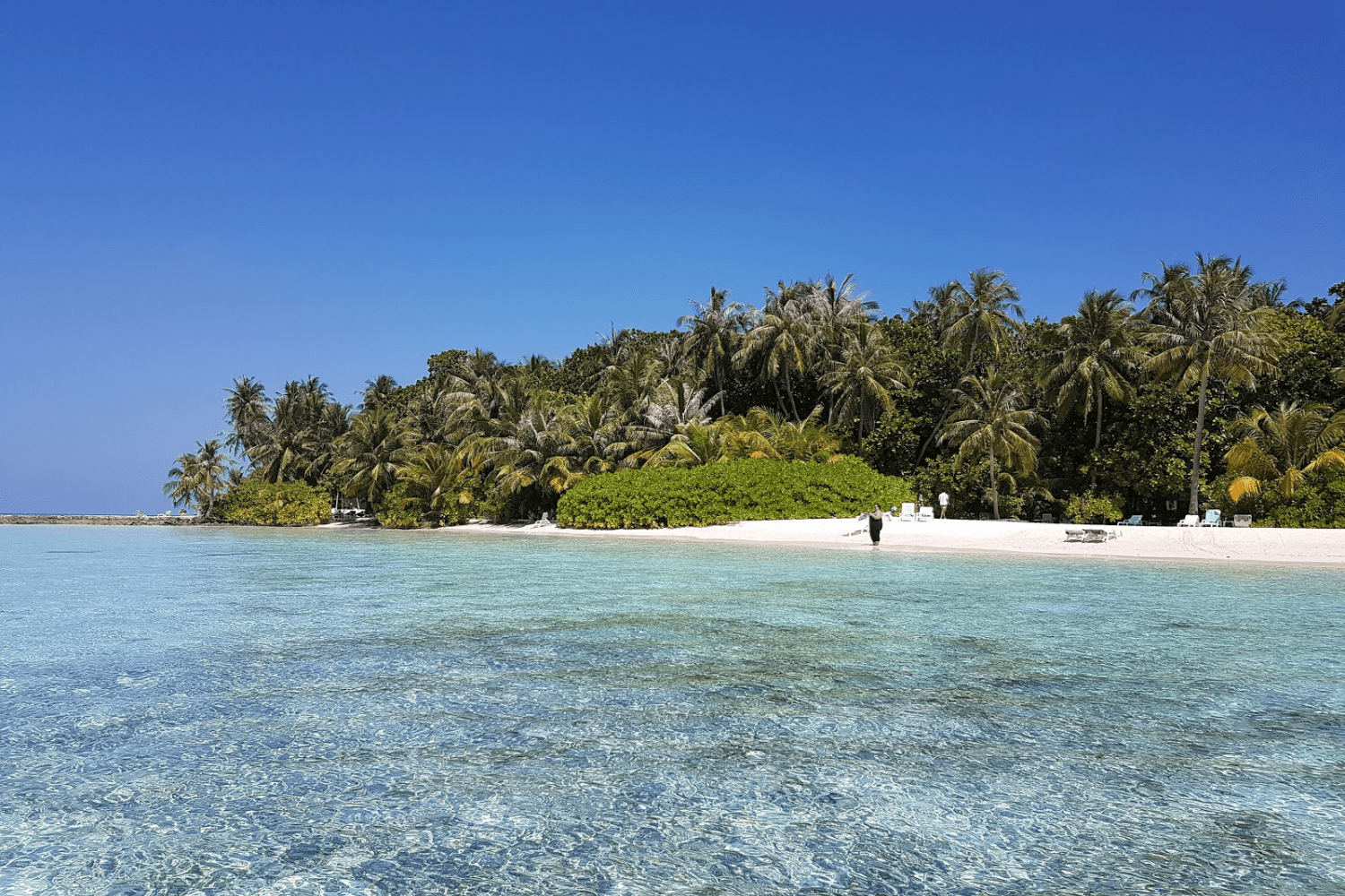 biyadhoo-island-in-maldives
