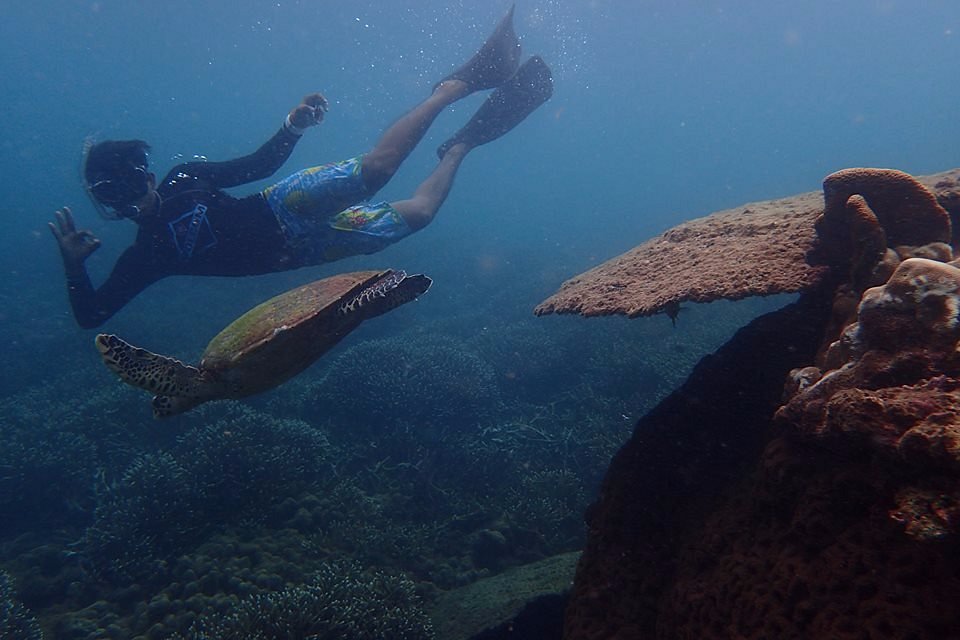 weligama-scuba-diving