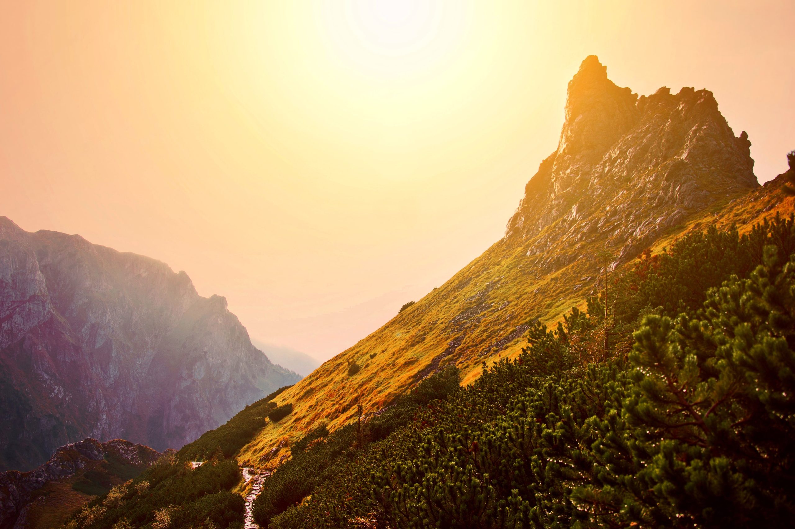 velliangiri-mountains-peaks-of-peace