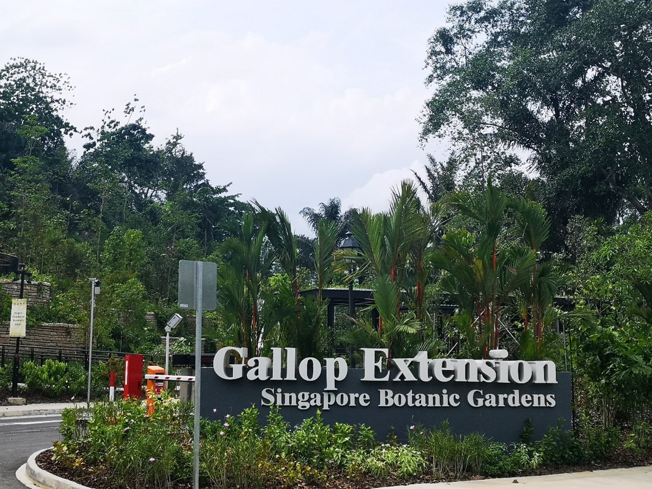 gallop-extension