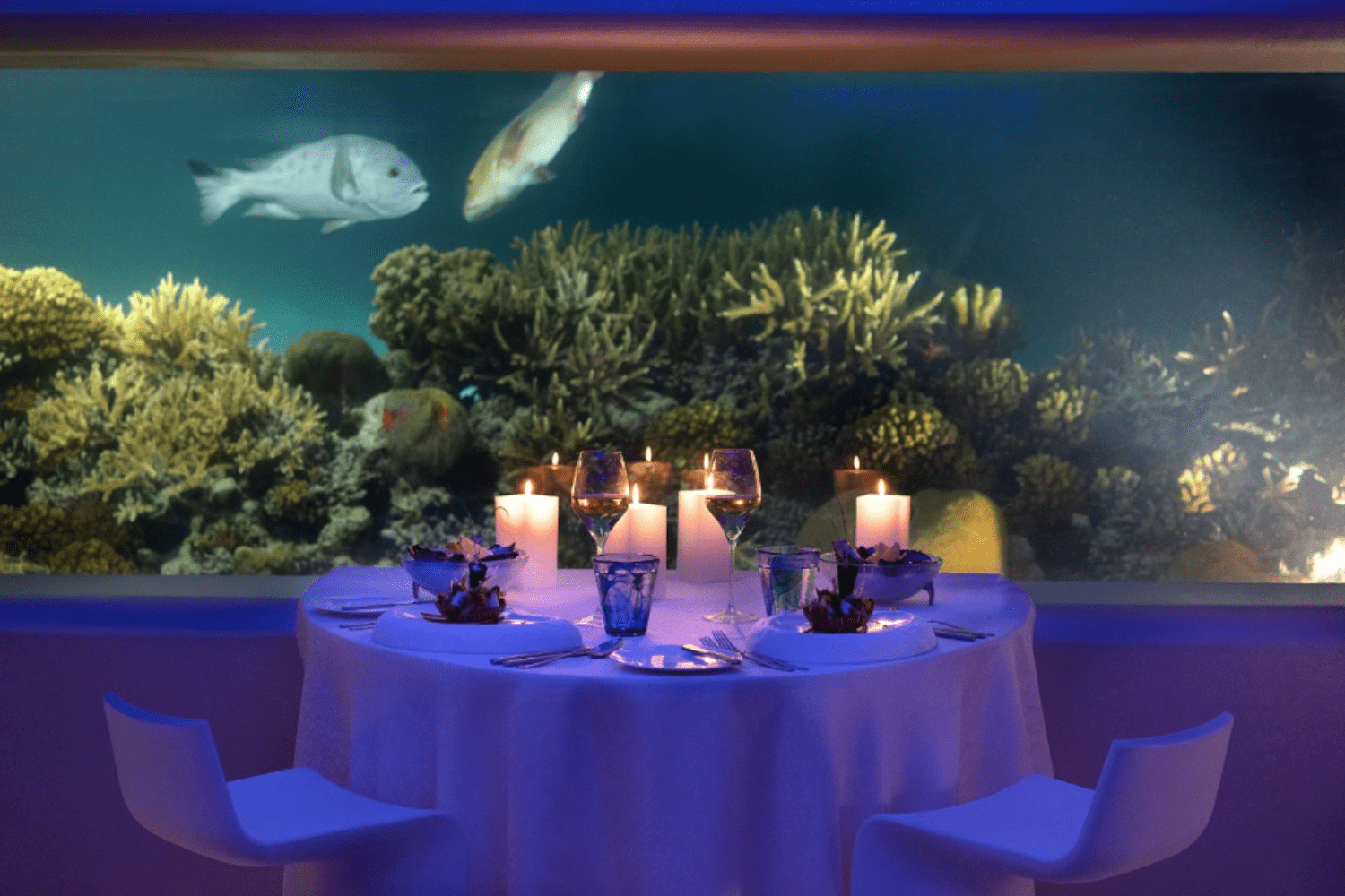 immerse-latitude-4°-underwater-restaurant-in-maldives
