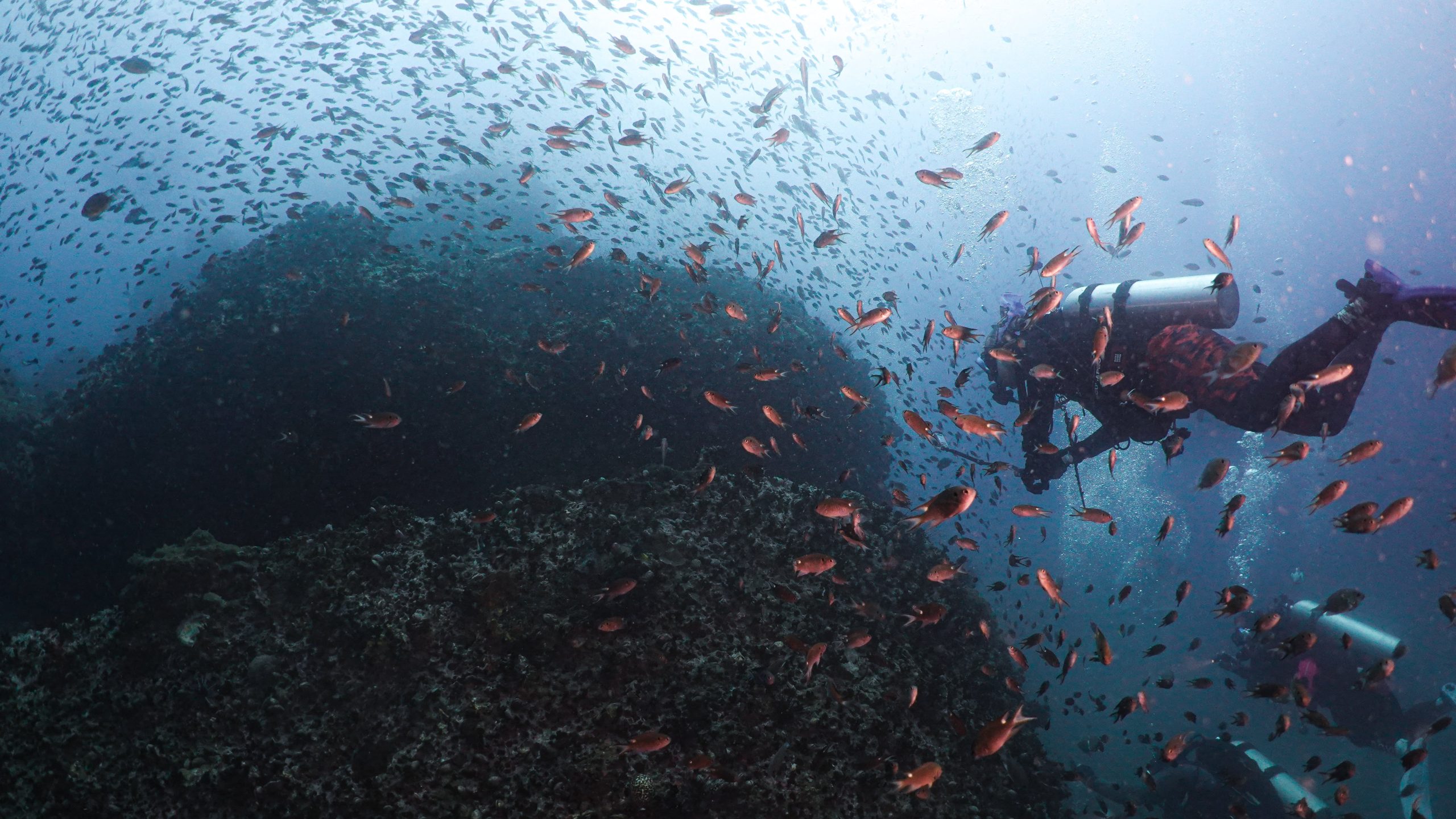 phuket-scuba-diving