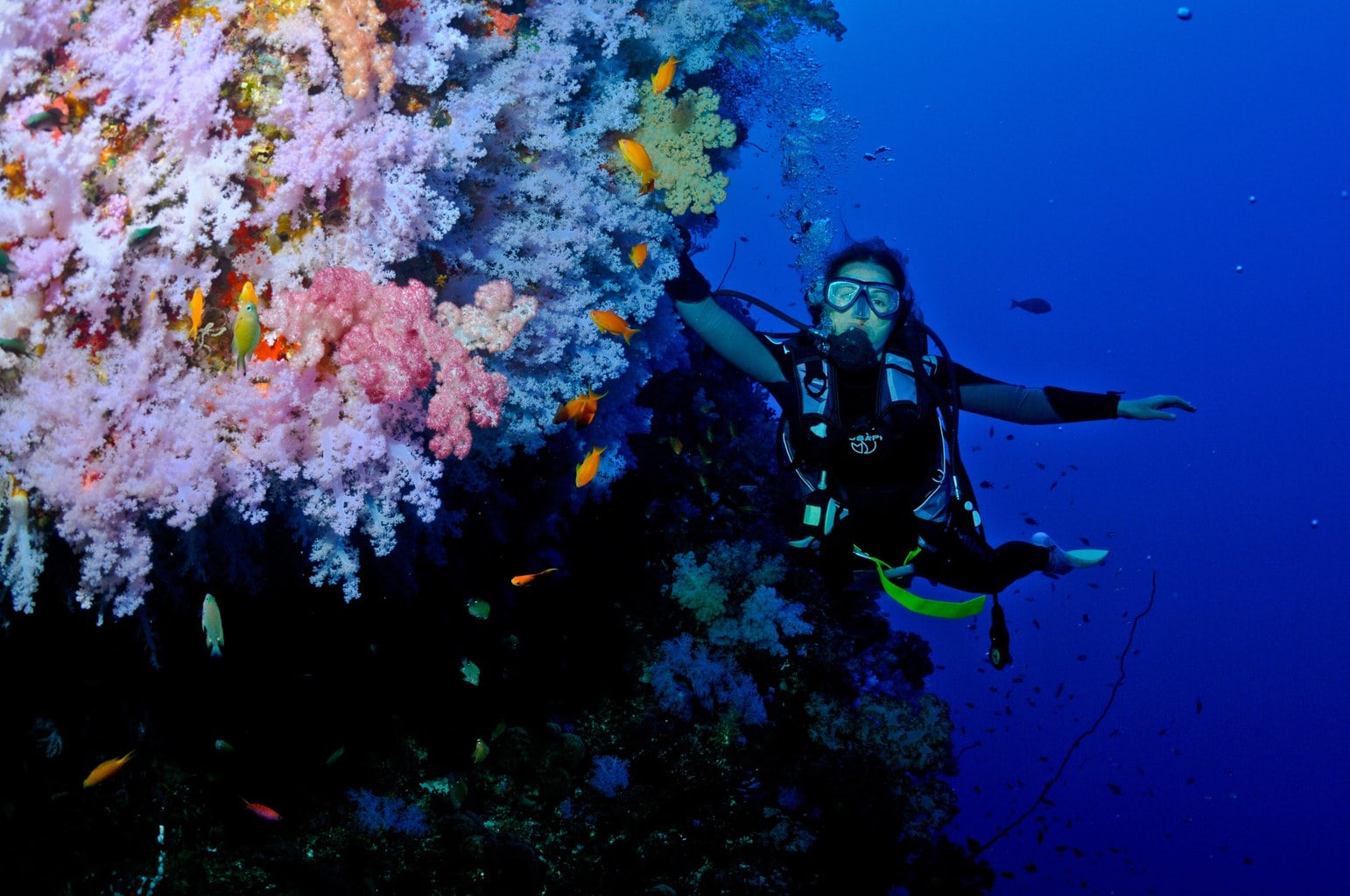 scuba-diving-in-great-white-wall-maldives