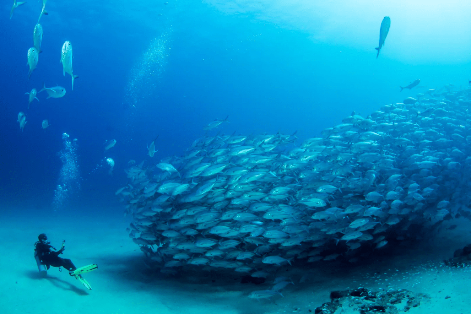 scuba-diving-in-hafsa-thila-maldives