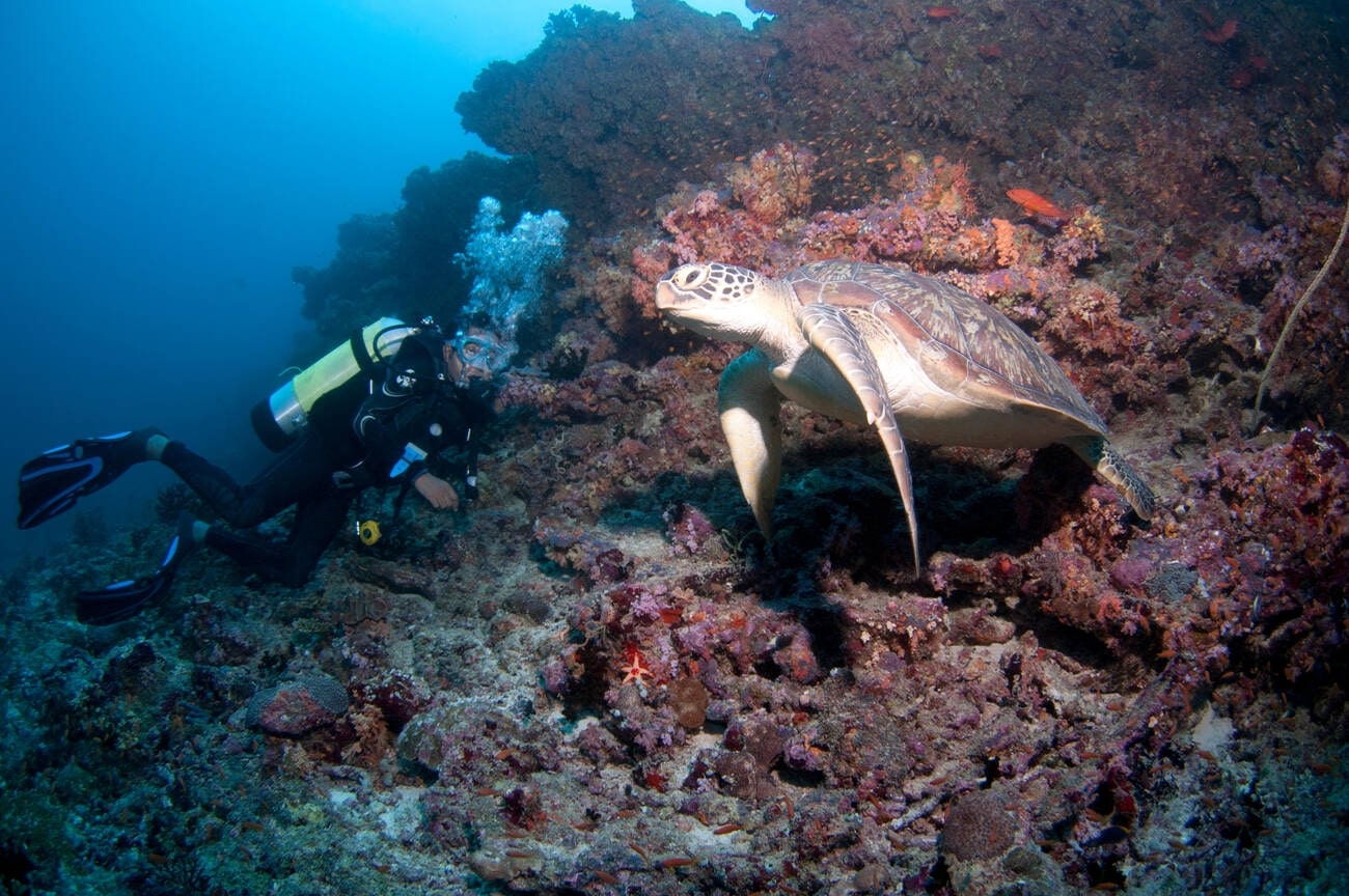 scuba-diving-in-kandooma-thila-maldives