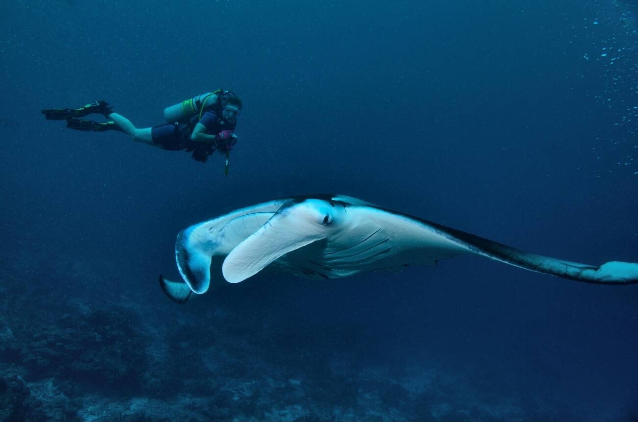 scuba-diving-in-manta-point-maldives