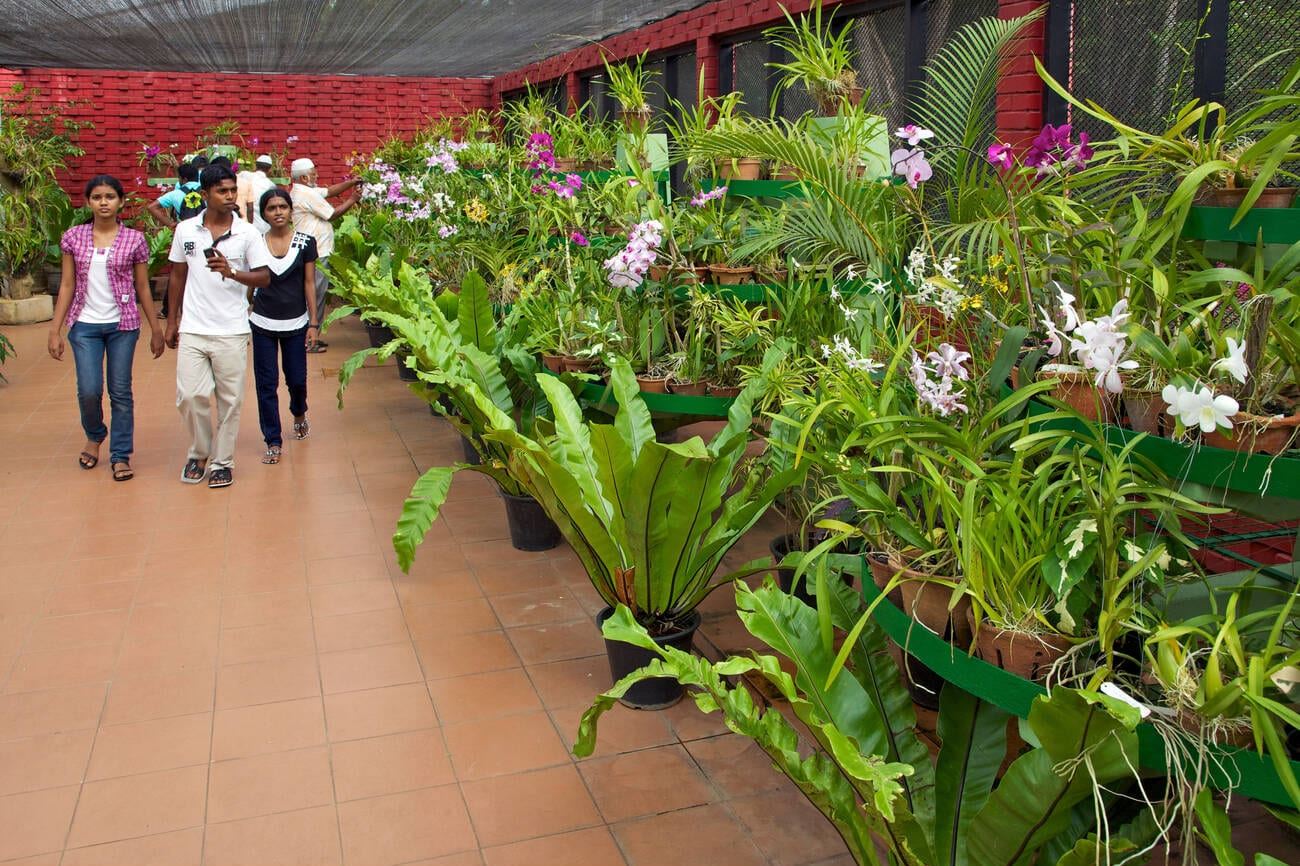 botanical-garden-metro-station-park