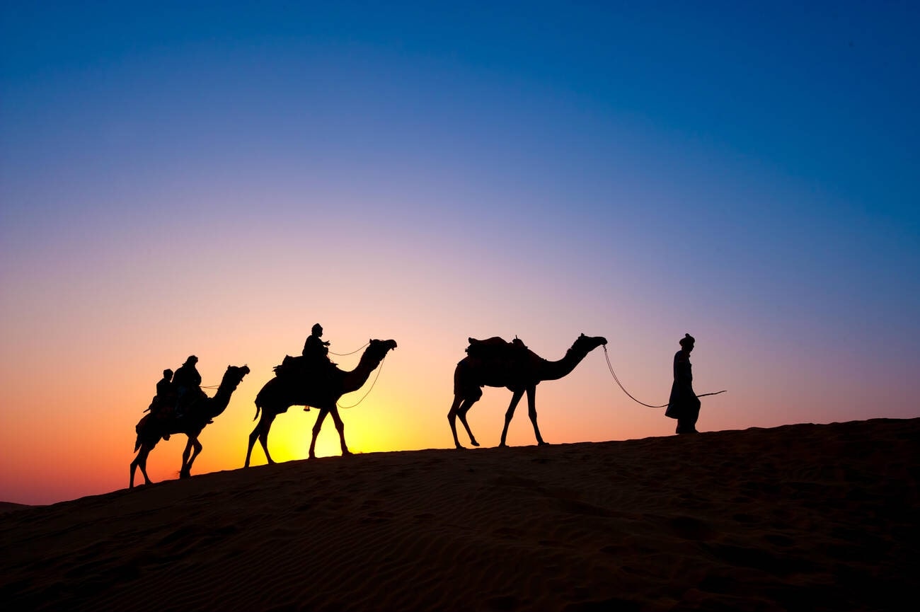 dharma-camel-safari-at-sunset